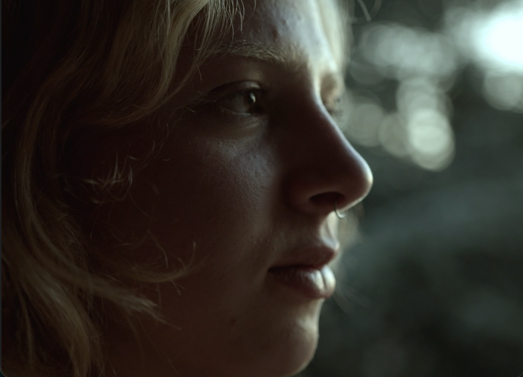 bildschirmfoto 2026 01 31 um 17.58.43